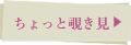 ちょっと覗き見