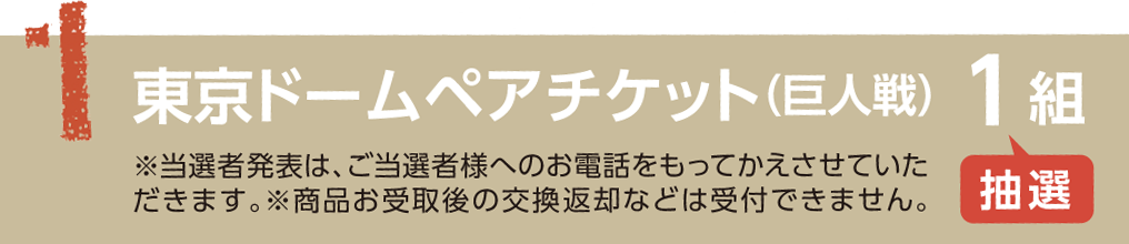 東京ドームペアチケット