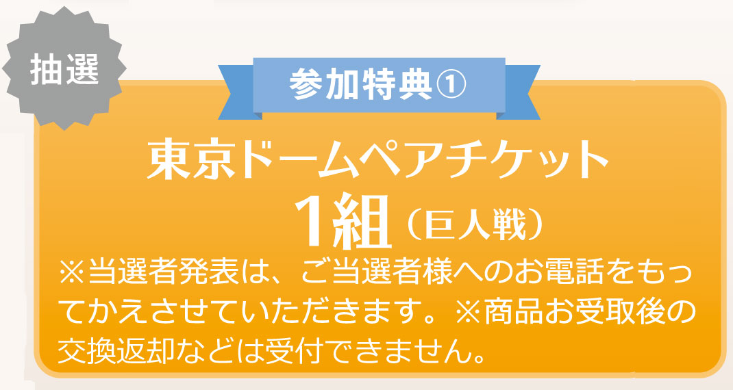 東京ドームペアチケット