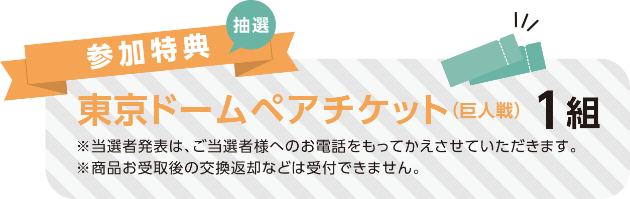 東京ドームペアチケット