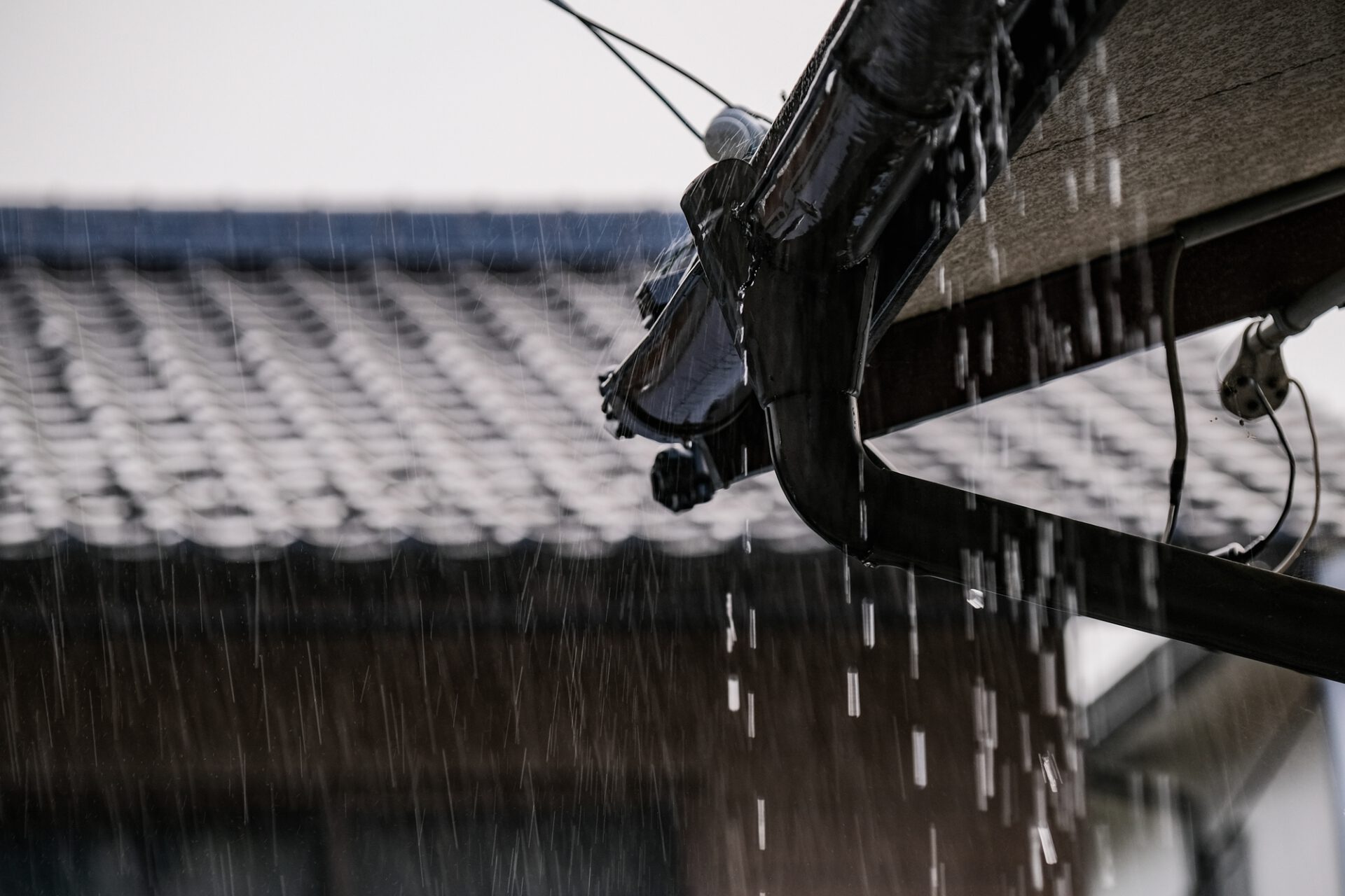 梅雨　くもりと雨続き