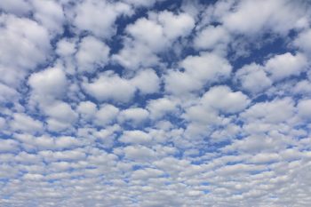 秋の気配イワシ雲| 麻布十番　ネクスト・アイズ