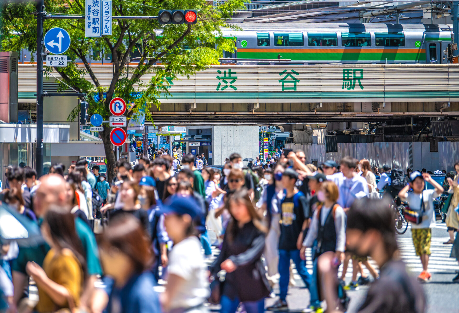 夏到来・夏の東京